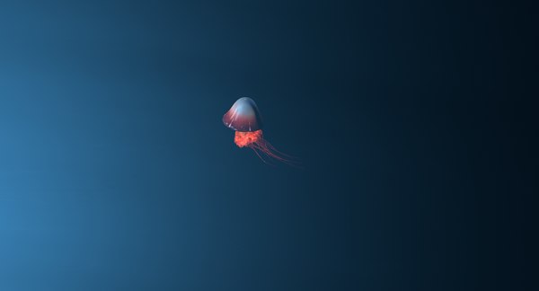 3D jellyfish animations model - TurboSquid 1262114