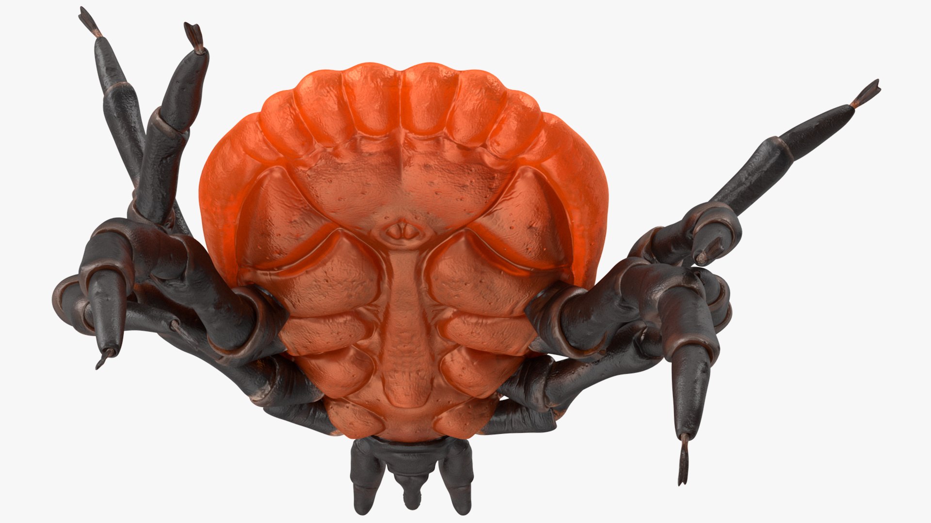 Tick Bite Pose model https://p.turbosquid.com/ts-thumb/1L/jX3gHD/6Y/tickbiteposemb3dmodel011/jpg/1644364555/1920x1080/fit_q87/c1ffe6970aa9170fe9118cc5666e5df79ed50b59/tickbiteposemb3dmodel011.jpg