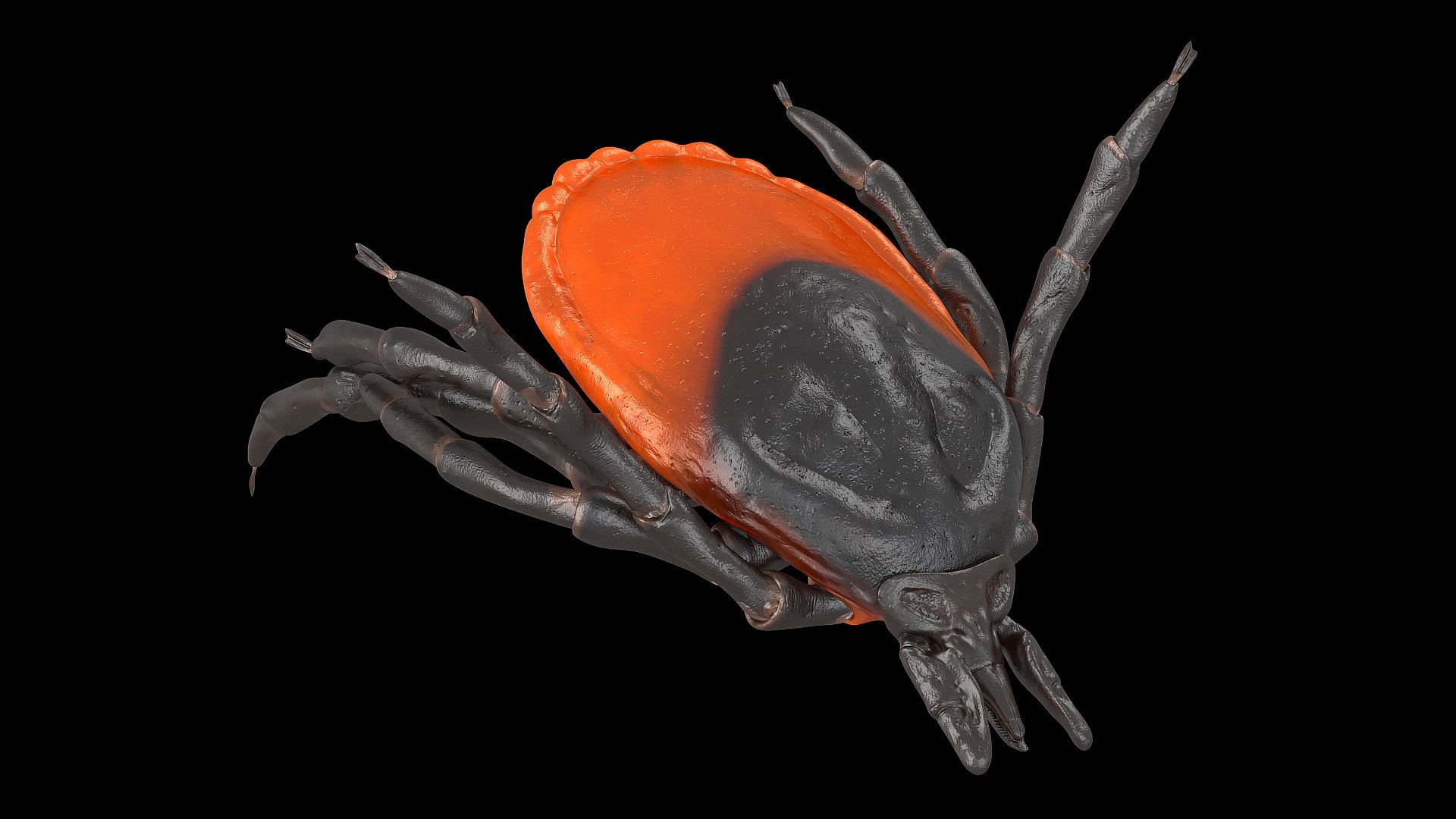 Tick Bite Pose model https://p.turbosquid.com/ts-thumb/1L/jX3gHD/7Y/tickbiteposemb3dmodel002/jpg/1644364532/1920x1080/fit_q87/f71e2b769adf31a149bd15ef2337a25586bce101/tickbiteposemb3dmodel002.jpg