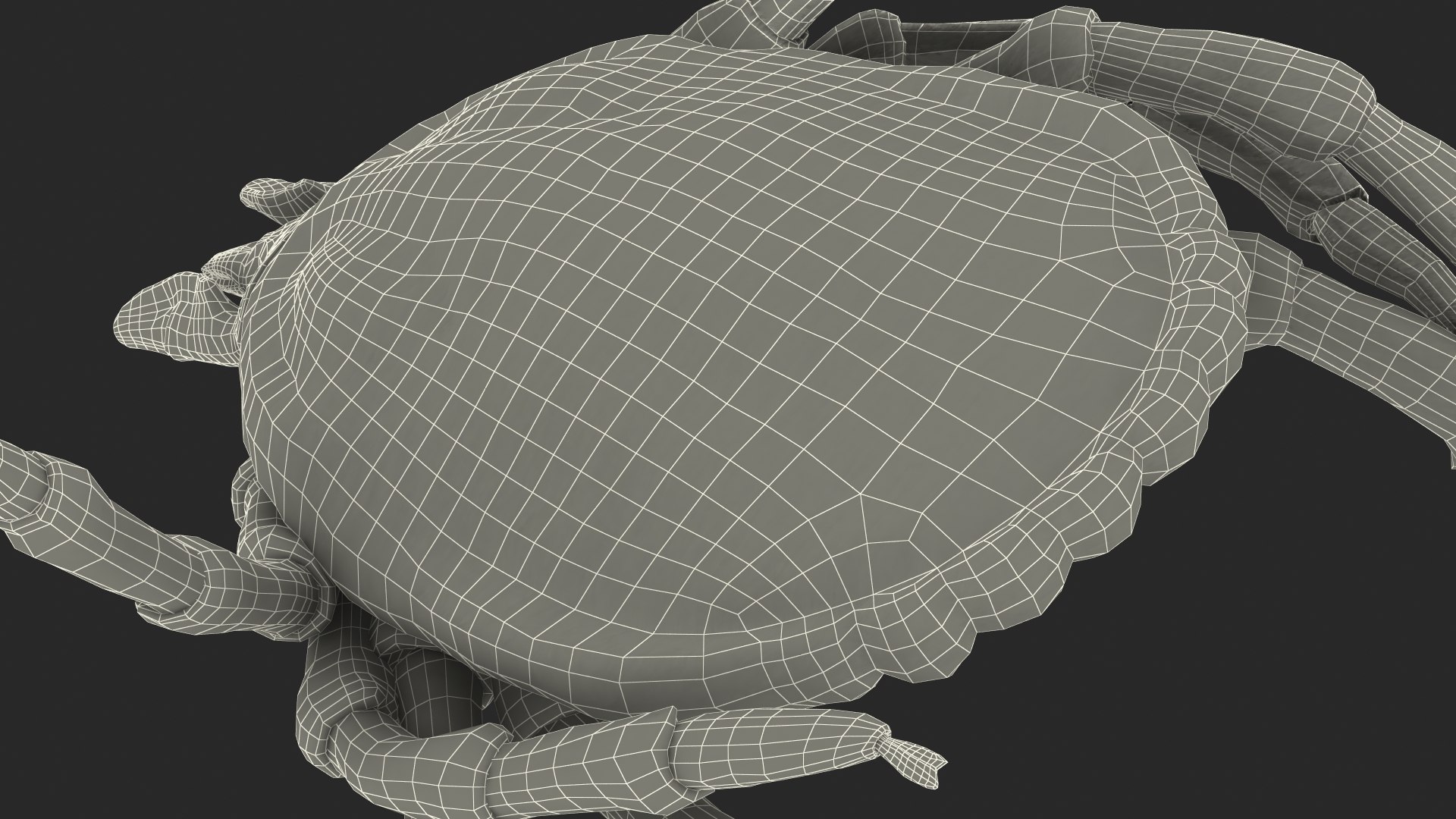Tick Bite Pose model https://p.turbosquid.com/ts-thumb/1L/jX3gHD/Ob/tickbiteposemb3dmodel029/jpg/1644364613/1920x1080/fit_q87/a1549cff2d08d581e78eb6025c304ecbc624a170/tickbiteposemb3dmodel029.jpg