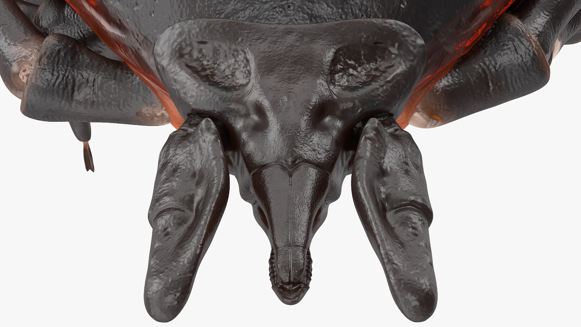 Tick Bite Pose model https://p.turbosquid.com/ts-thumb/1L/jX3gHD/iP/tickbiteposemb3dmodel015/jpg/1644364567/1920x1080/fit_q87/9f064f6108a0817d5e64ef5297a69e69a8bef06c/tickbiteposemb3dmodel015.jpg