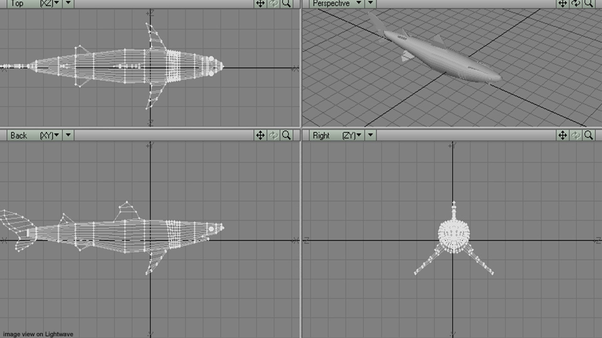 Piked Shark Model - TurboSquid 1173981