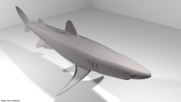 Haifisch - Piked 3D-Modell - TurboSquid 1173981