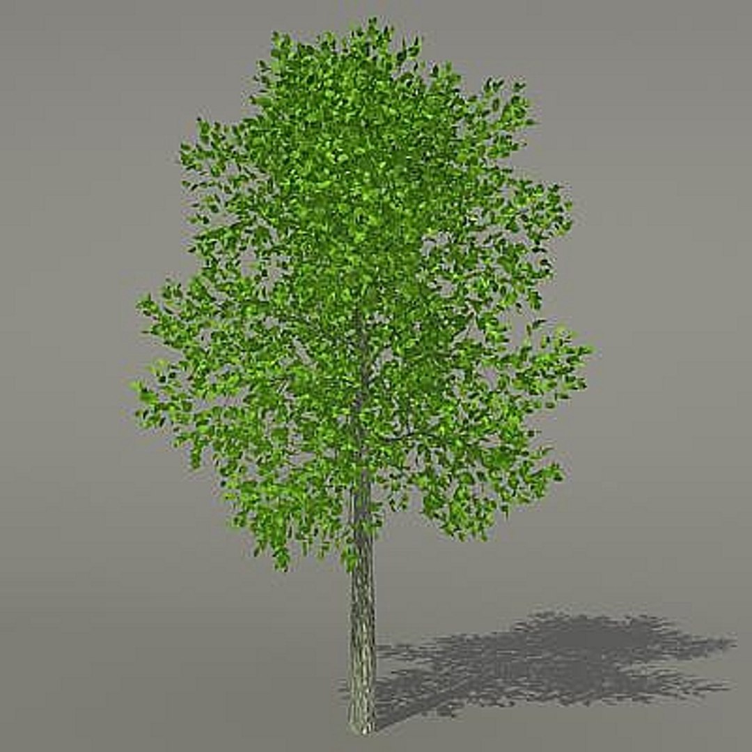 3d tree model