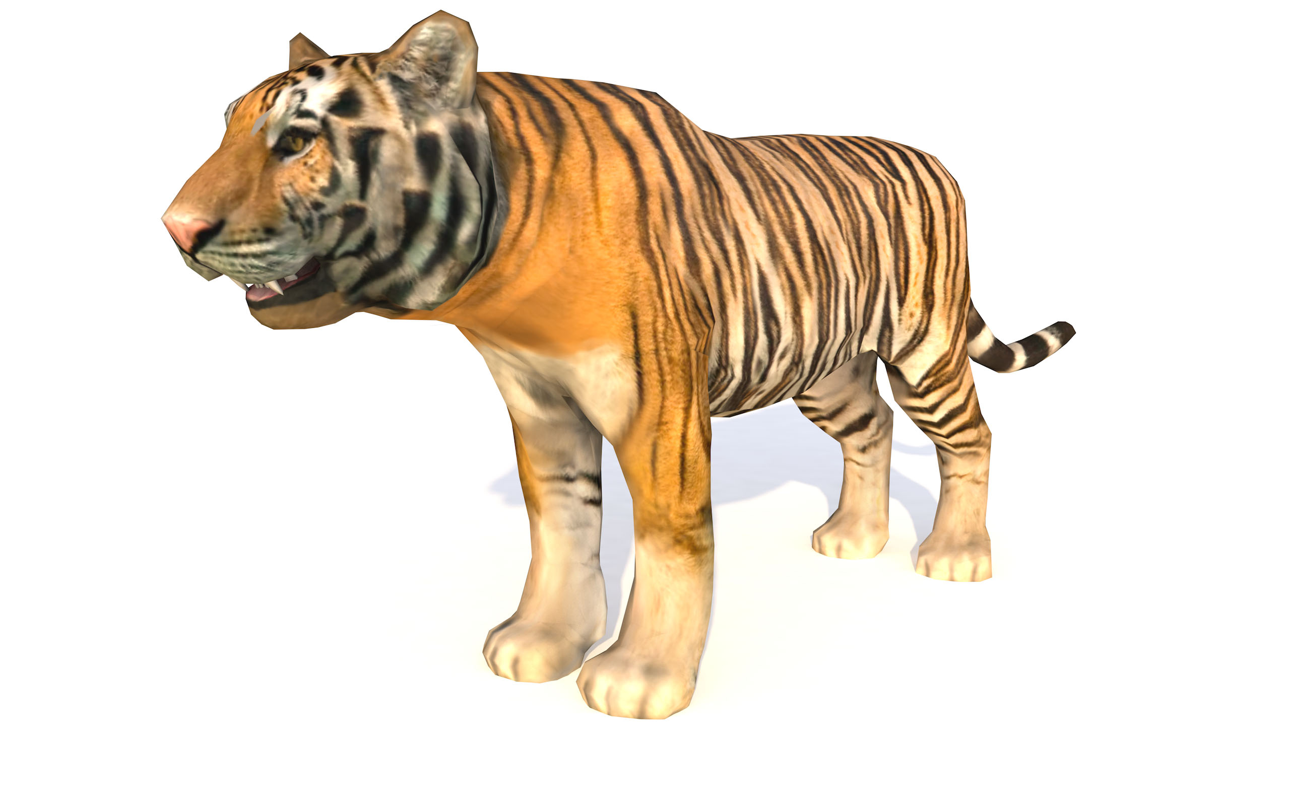 tiger animated lowpoly3d模型