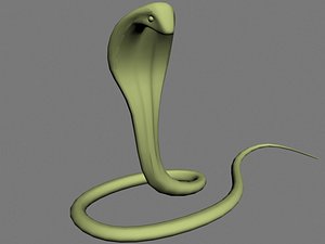 Snake