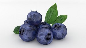 Blueberries