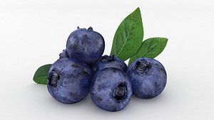 Blueberries