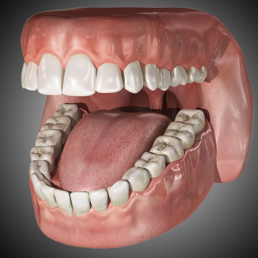 ma planes body rigged male https://p.turbosquid.com/ts-thumb/1M/KPMMMc/3TEzYA81/render08/jpg/1396929821/1920x1080/fit_q87/453afa5306e72fc9baf44ae22d57081b8d758d1b/render08.jpg