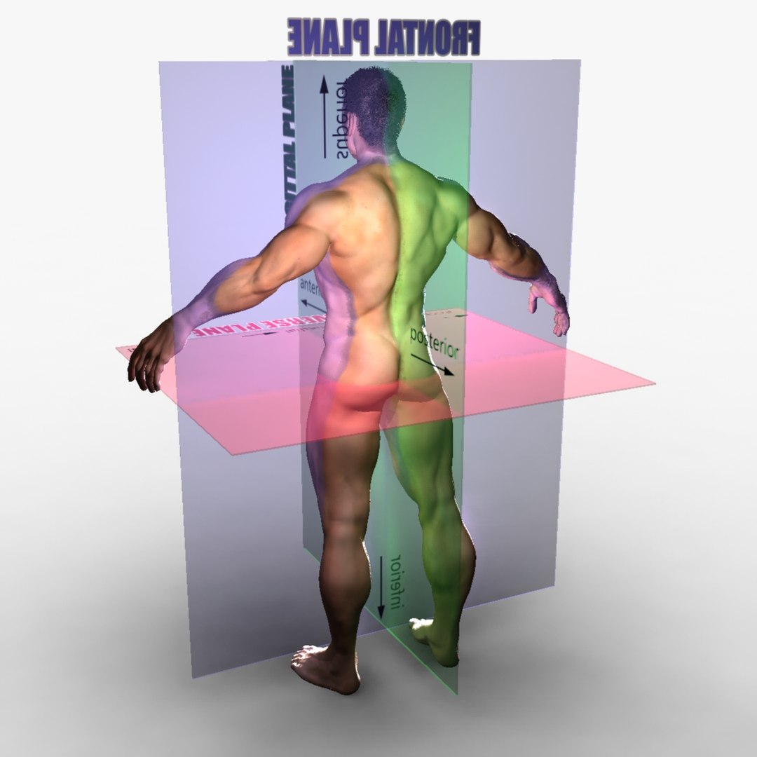 ma planes body rigged male https://p.turbosquid.com/ts-thumb/1M/KPMMMc/LHXvlUcA/0007/jpg/1396925527/1920x1080/fit_q87/e7c9e29b696bd3f0e0cb6df9e89198cdf935d376/0007.jpg