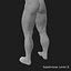 Planes of Body Rigged