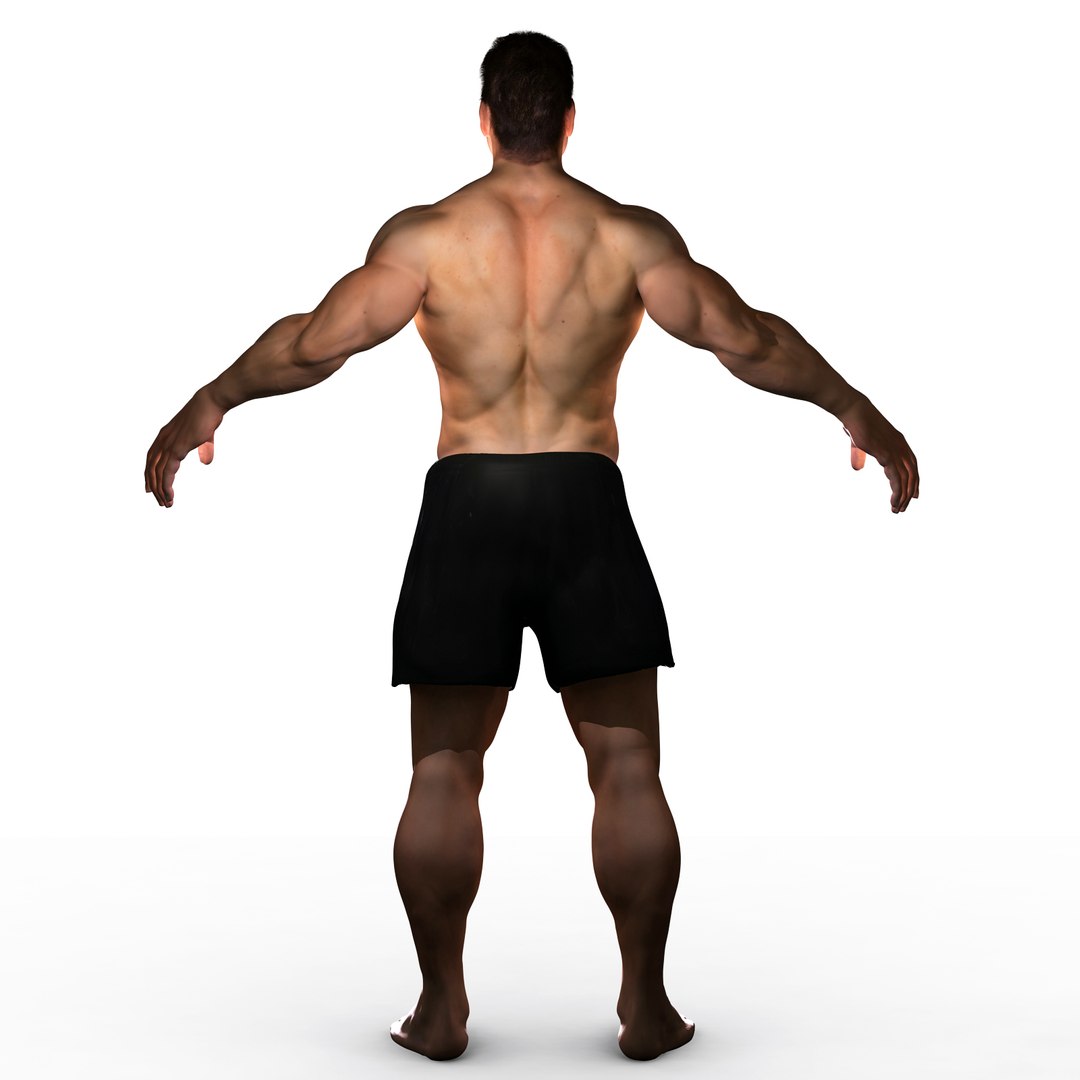 ma planes body rigged male https://p.turbosquid.com/ts-thumb/1M/KPMMMc/ZND7B5uP/render03/jpg/1396929821/1920x1080/fit_q87/dc2864a45a7b3cbb6a8cd234f9b0914ce16e77f9/render03.jpg