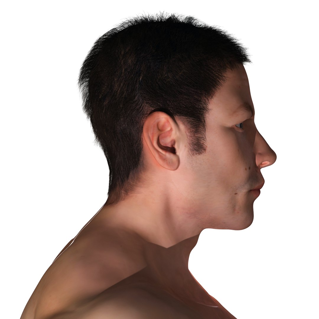 ma planes body rigged male https://p.turbosquid.com/ts-thumb/1M/KPMMMc/l0So3oGx/render05/jpg/1396929821/1920x1080/fit_q87/b1ef76f7e03f8bbc9047cfbf2f07290f39079468/render05.jpg