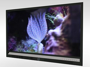 Flat Screen Television