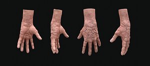 realistic rigged old man model
