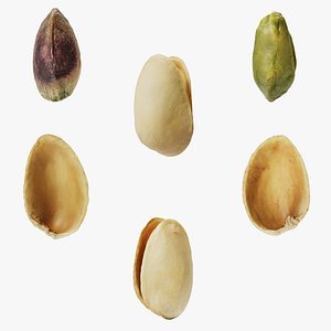 Pistachios 3D model