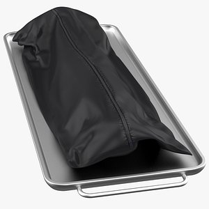 Dead Body Covering 3D model