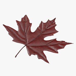 red maple leaf max