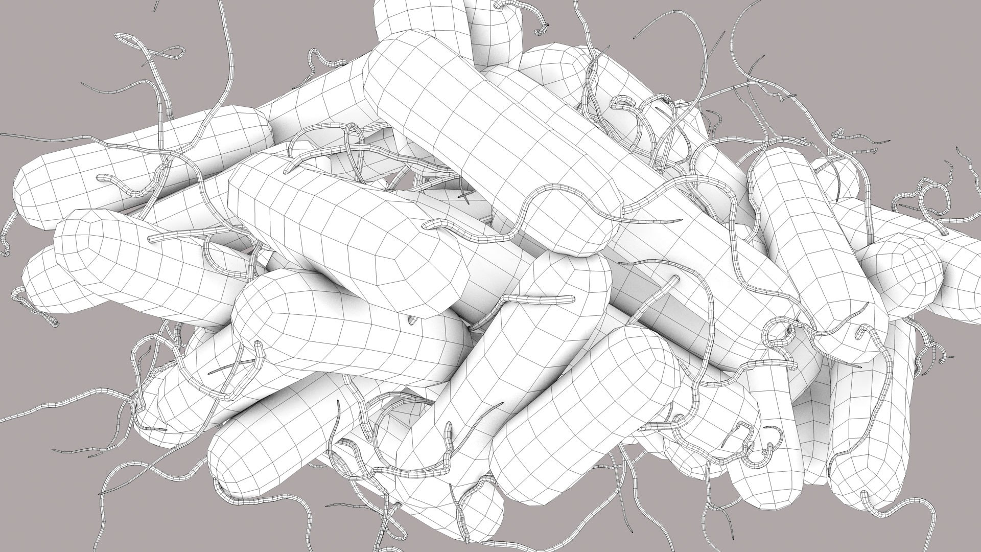 3D Escherichia Coli bacteria https://p.turbosquid.com/ts-thumb/1N/0VT5u3/4x/ecoli_im_outline_08/jpg/1782486887/1920x1080/fit_q87/c19b365847f3c8145e3daf33b51b0051eccf52d6/ecoli_im_outline_08.jpg