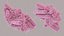 Escherichia Coli bacteria