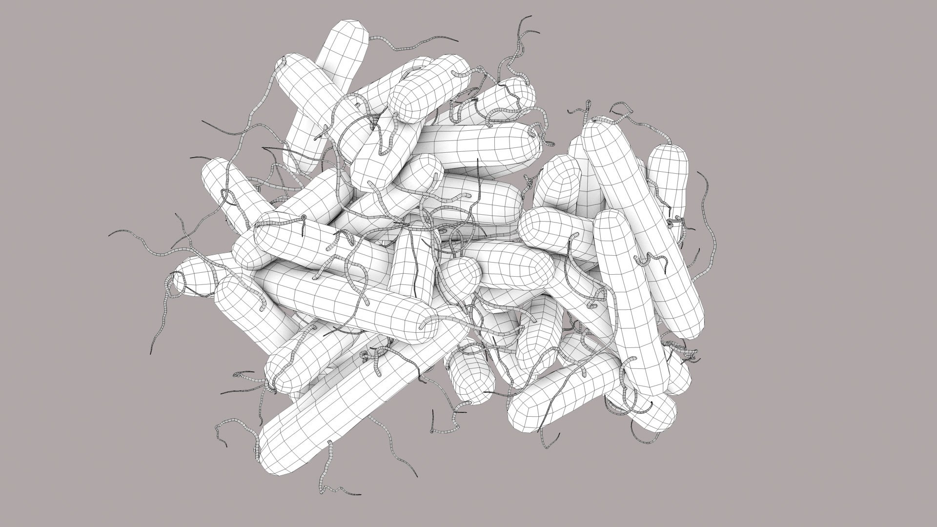 3D Escherichia Coli bacteria https://p.turbosquid.com/ts-thumb/1N/0VT5u3/Nd/ecoli_im_outline_02/jpg/1782486884/1920x1080/fit_q87/6a7482be9e2205aa4014e08748542de30b89164d/ecoli_im_outline_02.jpg