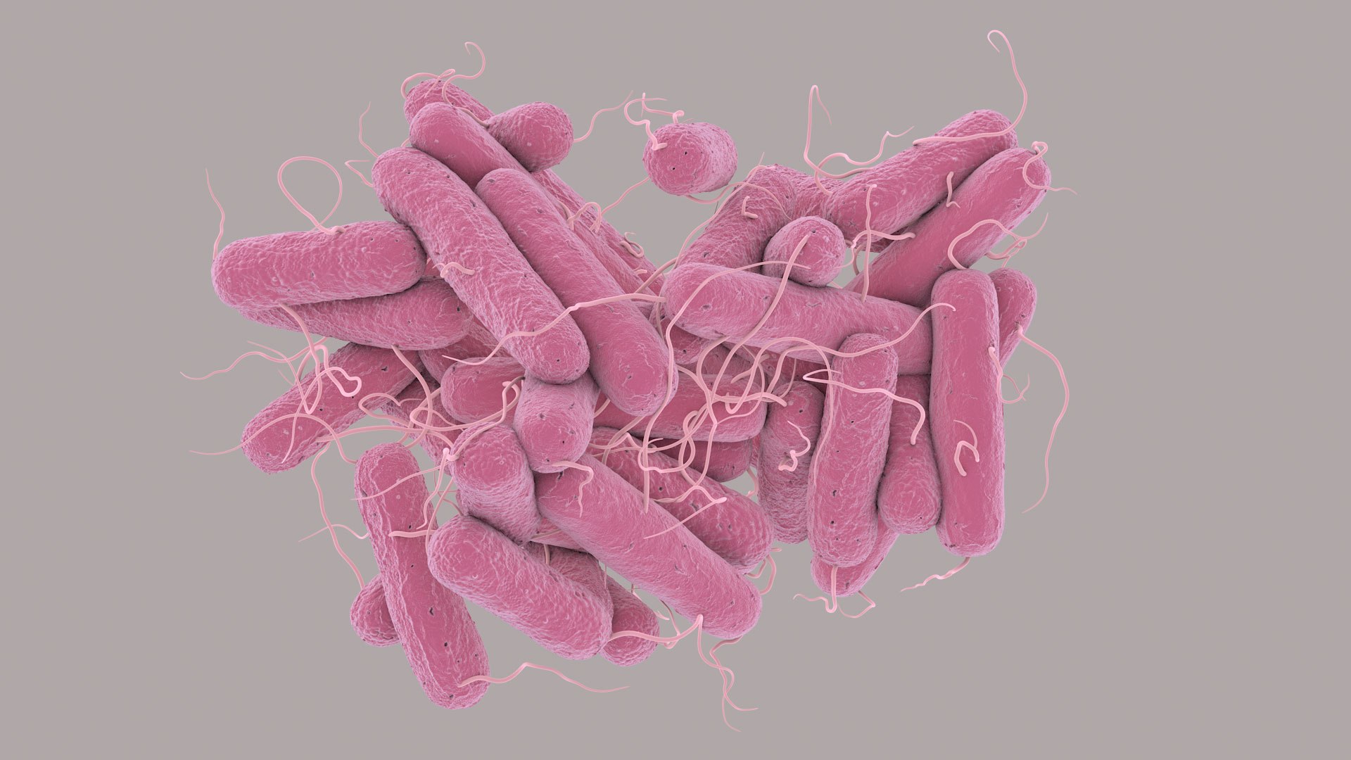 3D Escherichia Coli bacteria https://p.turbosquid.com/ts-thumb/1N/0VT5u3/P8/ecoli_im_01/jpg/1782421024/1920x1080/fit_q87/918d9ac246e90dccbcfc141ea3ace0552afd2c77/ecoli_im_01.jpg
