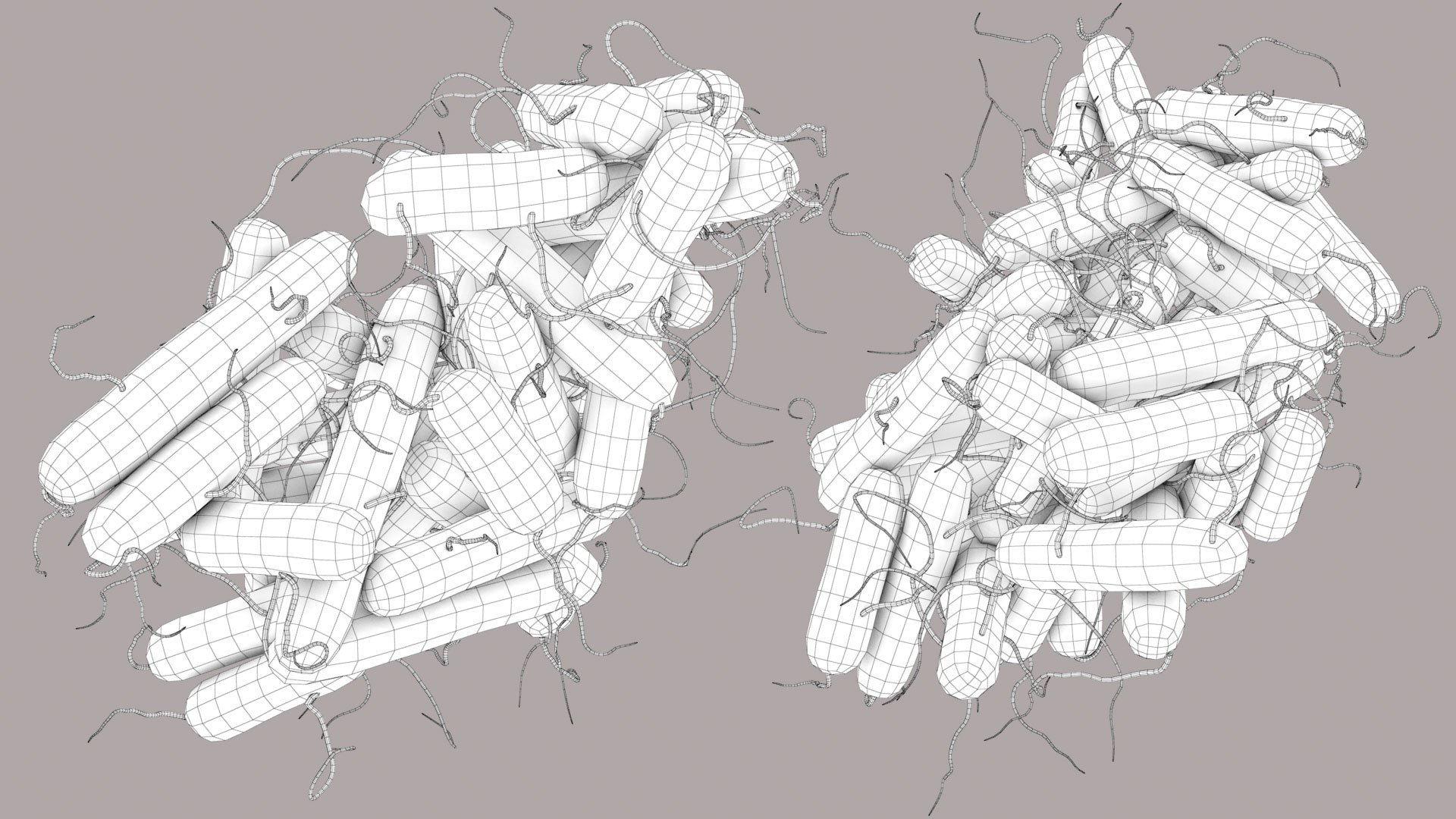 3D Escherichia Coli bacteria https://p.turbosquid.com/ts-thumb/1N/0VT5u3/Xd/ecoli_im_outline_05/jpg/1782486885/1920x1080/fit_q87/9a26003eb185c2cfc96fb60cb8506ff7931b92b9/ecoli_im_outline_05.jpg