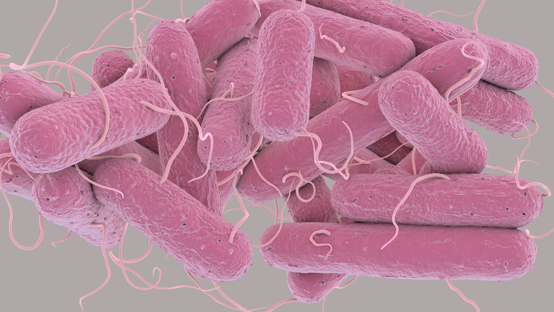 3D Escherichia Coli bacteria https://p.turbosquid.com/ts-thumb/1N/0VT5u3/Yv/ecoli_im_10/jpg/1782421028/1920x1080/fit_q87/76f48ad53cb0be36559a1f769c2f9a224bbfd6ee/ecoli_im_10.jpg
