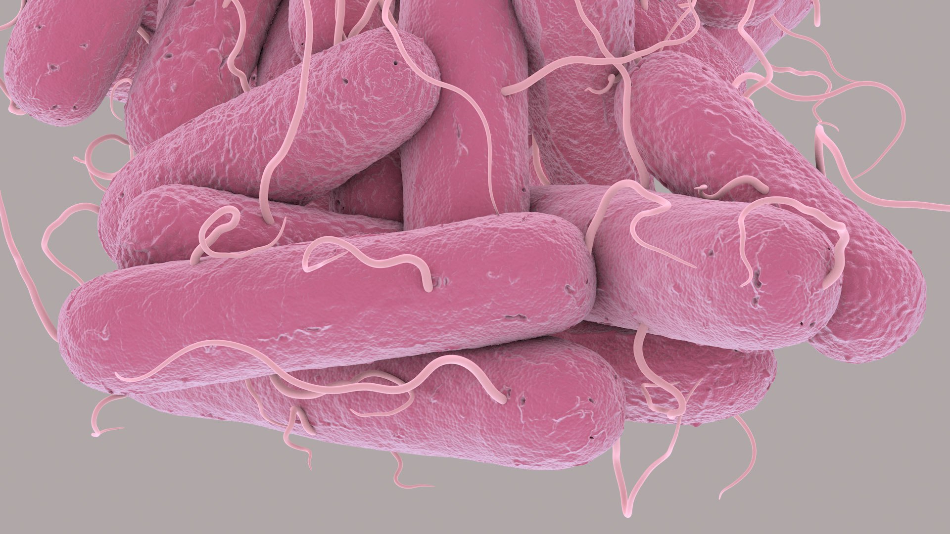 3D Escherichia Coli bacteria https://p.turbosquid.com/ts-thumb/1N/0VT5u3/ZC/ecoli_im_11/jpg/1782421027/1920x1080/fit_q87/4537f46f1aad8ce8f1ec84d946db56052c80bd38/ecoli_im_11.jpg