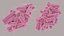 Escherichia Coli bacteria