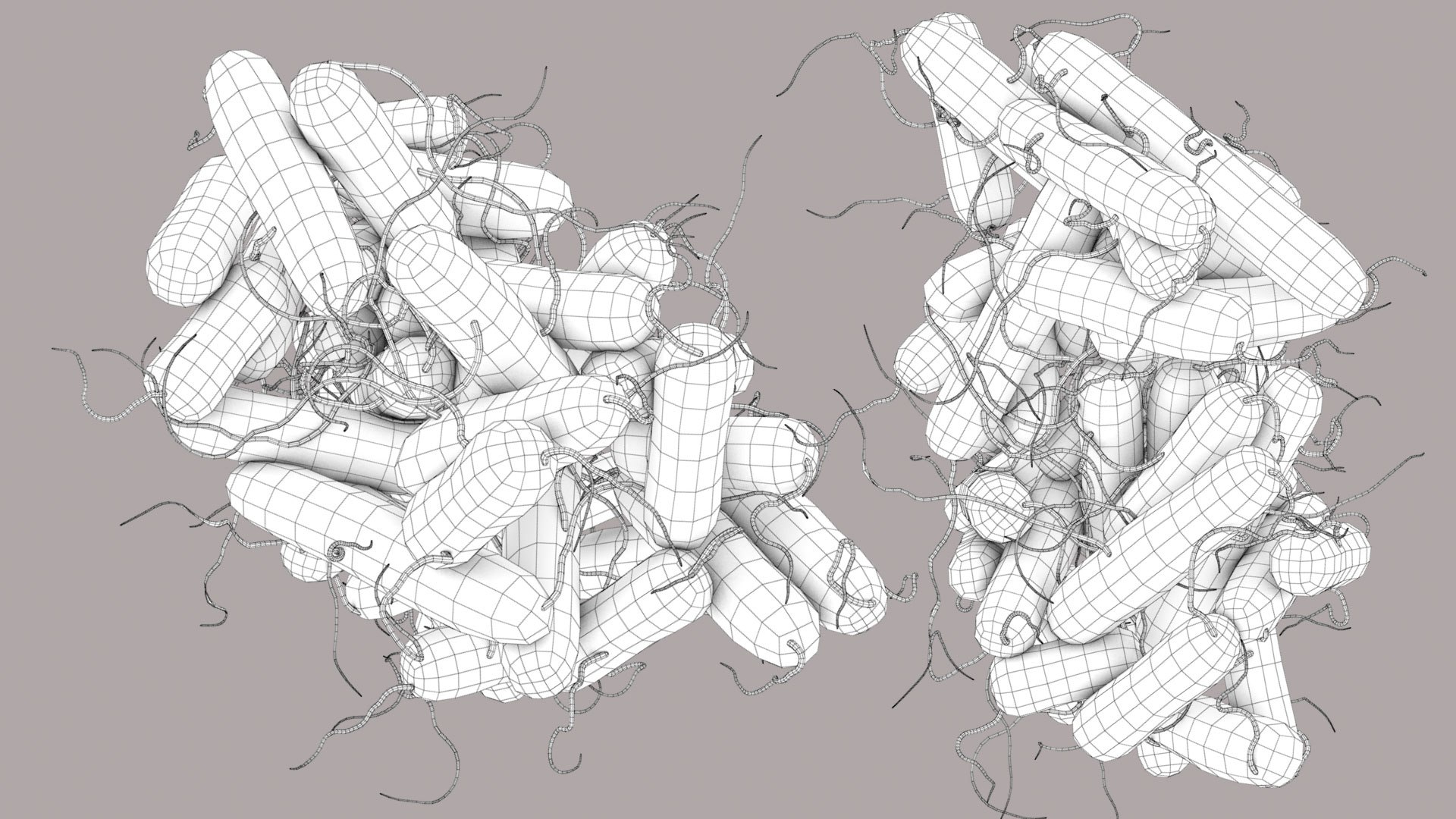 3D Escherichia Coli bacteria https://p.turbosquid.com/ts-thumb/1N/0VT5u3/gv/ecoli_im_outline_03/jpg/1782486885/1920x1080/fit_q87/91afe0978f2bc719b9e974bd5cce5611ee4b2349/ecoli_im_outline_03.jpg