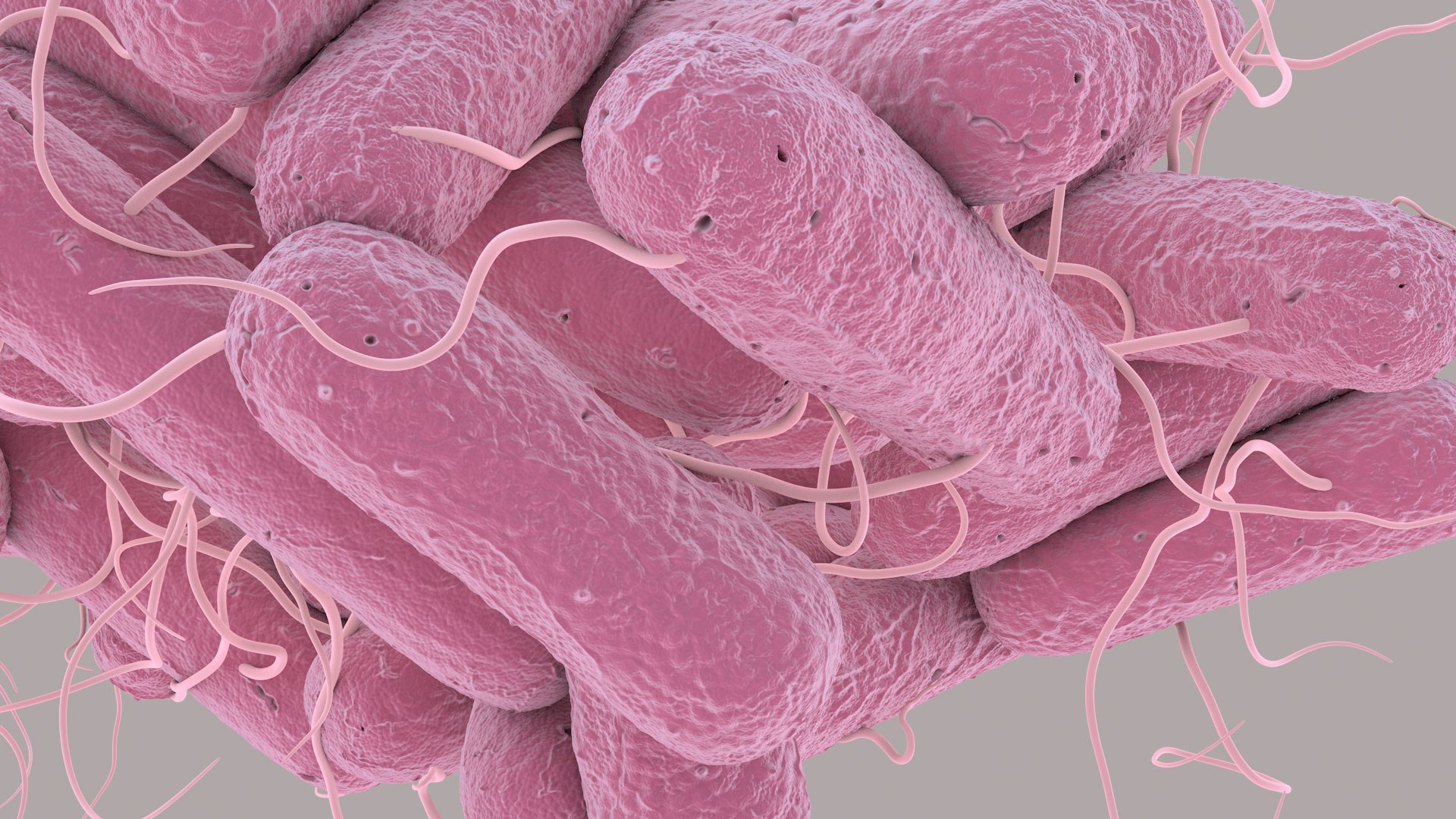 3D Escherichia Coli bacteria https://p.turbosquid.com/ts-thumb/1N/0VT5u3/jF/ecoli_im_12/jpg/1782421029/1920x1080/fit_q87/62a814c42225e817ad051d66a084de02190653fd/ecoli_im_12.jpg