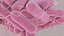Escherichia Coli bacteria