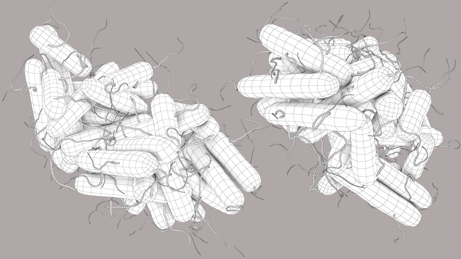 3D Escherichia Coli bacteria https://p.turbosquid.com/ts-thumb/1N/0VT5u3/ov/ecoli_im_outline_06/jpg/1782486886/1920x1080/fit_q87/f3465c85c93f12b8f7e9fabcc5500c46eb417b82/ecoli_im_outline_06.jpg
