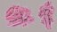 Escherichia Coli bacteria