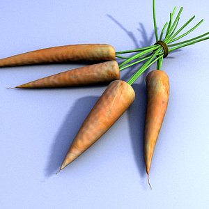 zanahorias carrots 3d model
