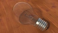 Bulb