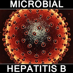 Hepatitis B Virus