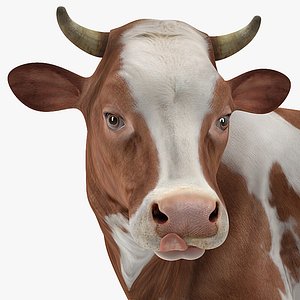 cow rigged 3D model
