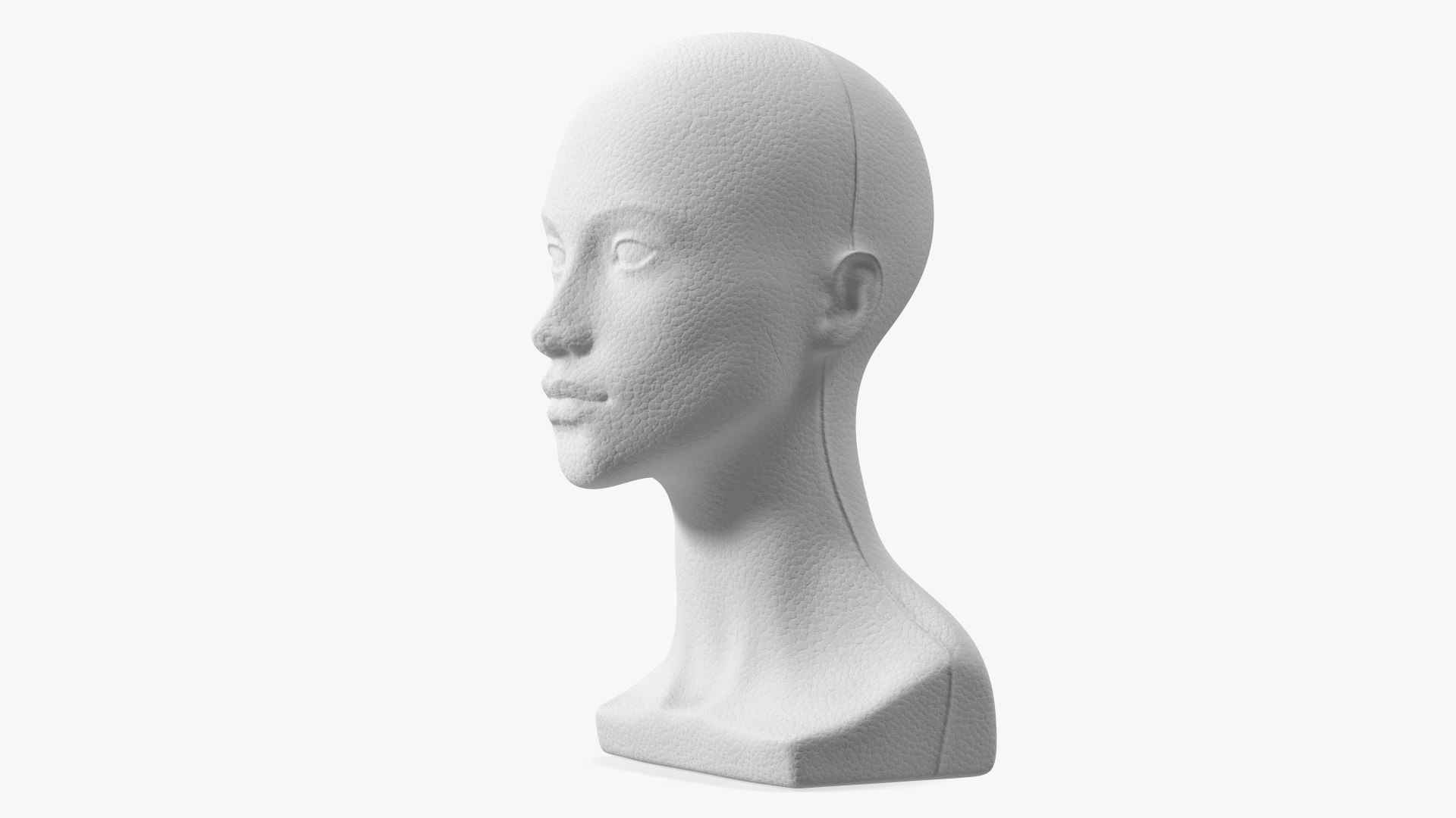 Styrofoam Woman Mannequin Head White 3D model preview