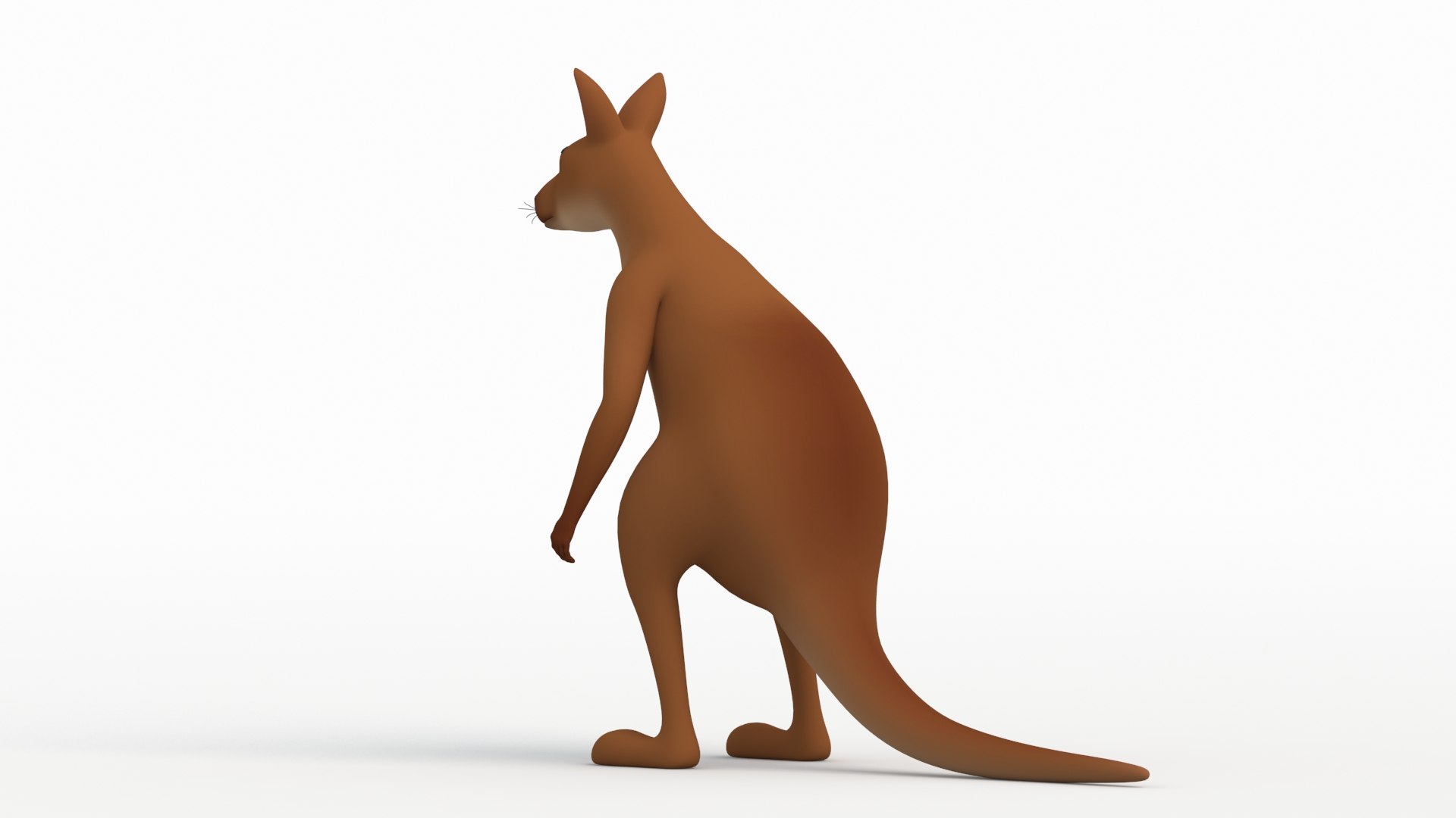 Kangaroo 3D Model - TurboSquid 2165431