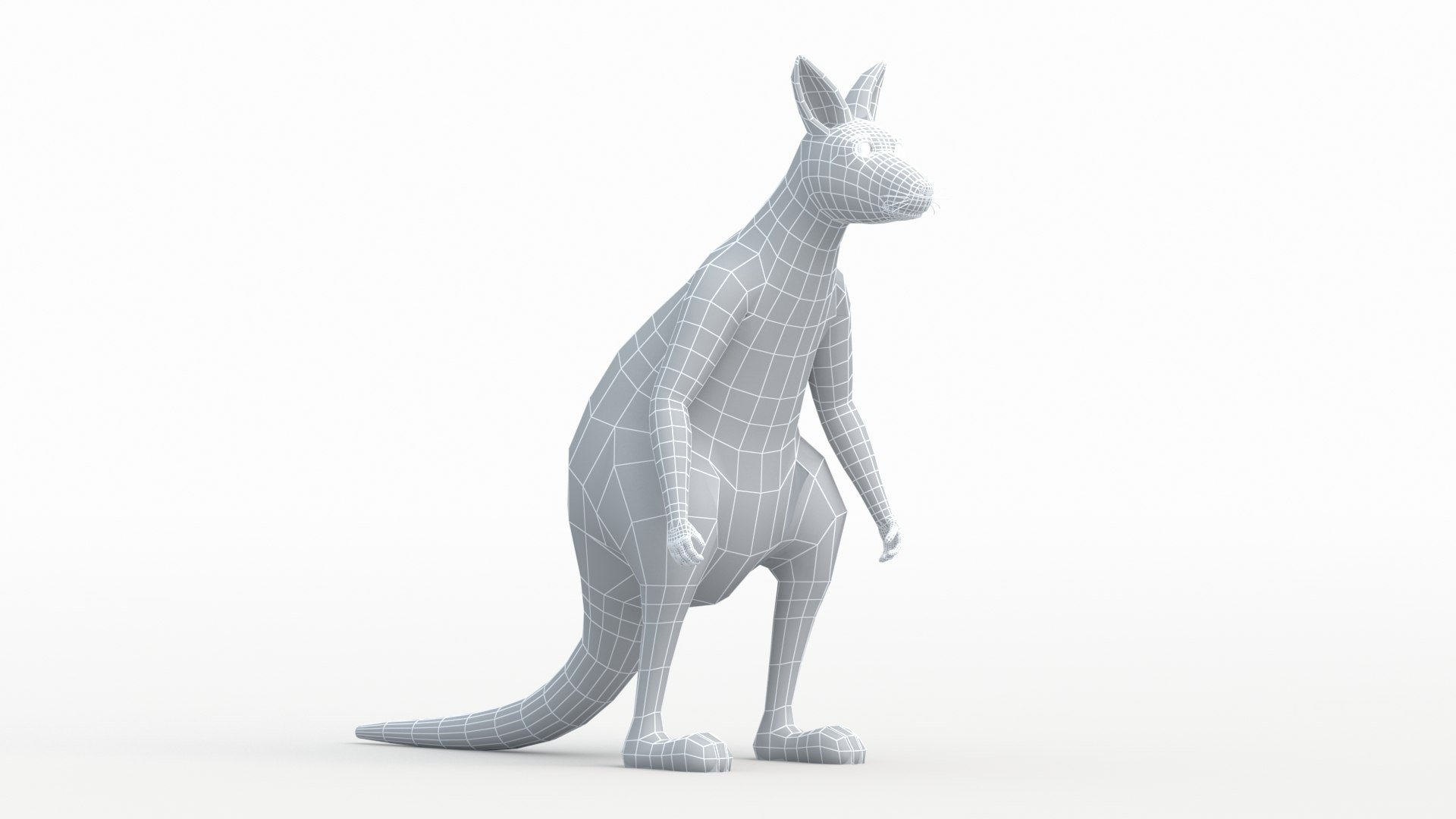 Kangaroo 3D Model - TurboSquid 2165431