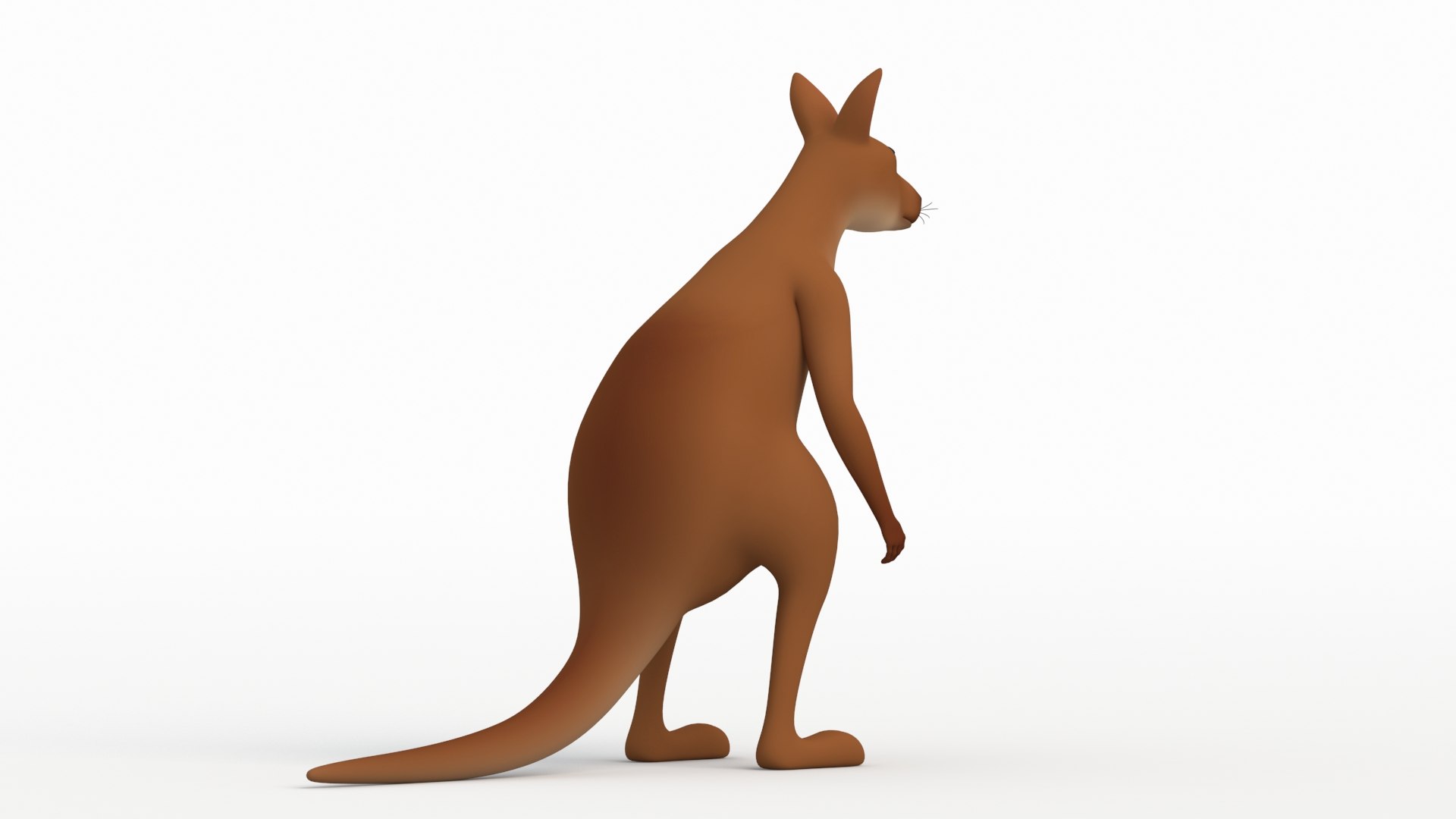 Kangaroo 3D Model - TurboSquid 2165431