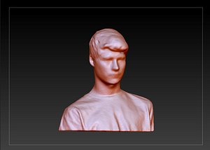 3d model tyler scan