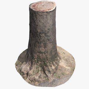 Tree Trunk Scan 002