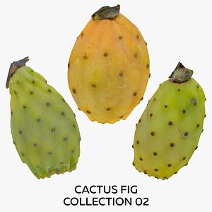 3D Cactus Fig Collection 02 - 3 models RAW Scans model