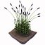 model of lavender bush