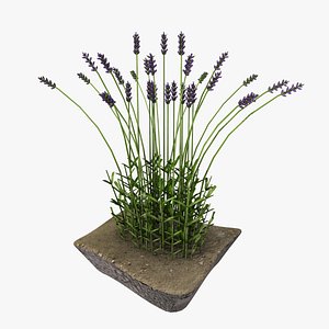 model of lavender bush