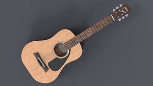 3D acoustic guitar