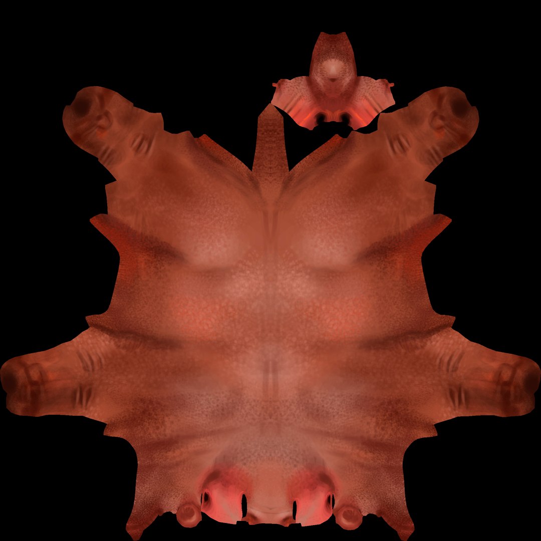 3D Pig Rig High-poly Textured - TurboSquid 2345731